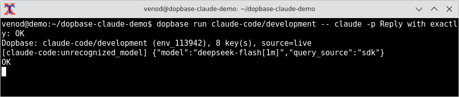 Dopbase reports eight keys from a live fetch, followed by a custom-model warning and the response OK.
