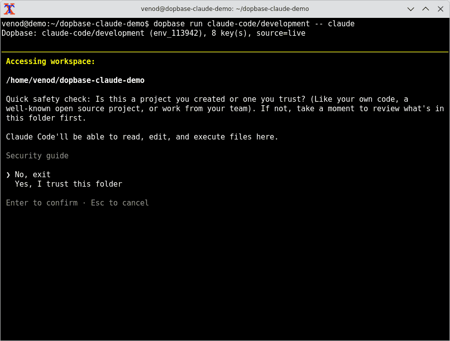 Claude Code reaches its workspace trust prompt after Dopbase loads the environment.